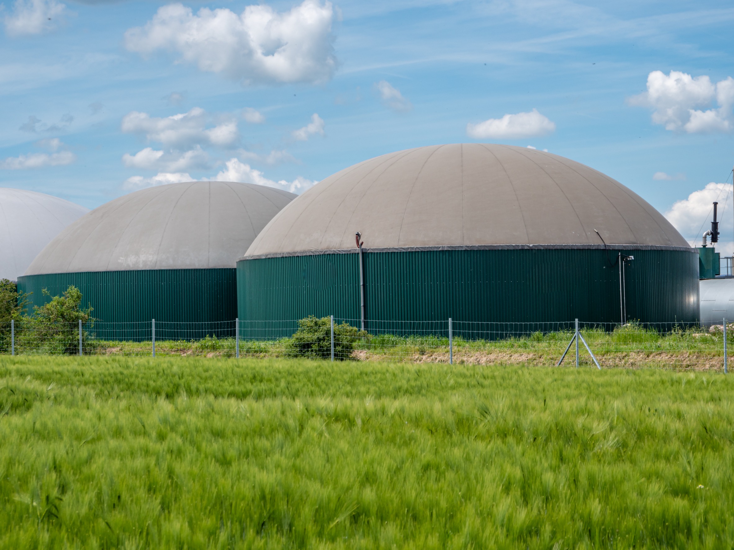 Planta de biogas en campo