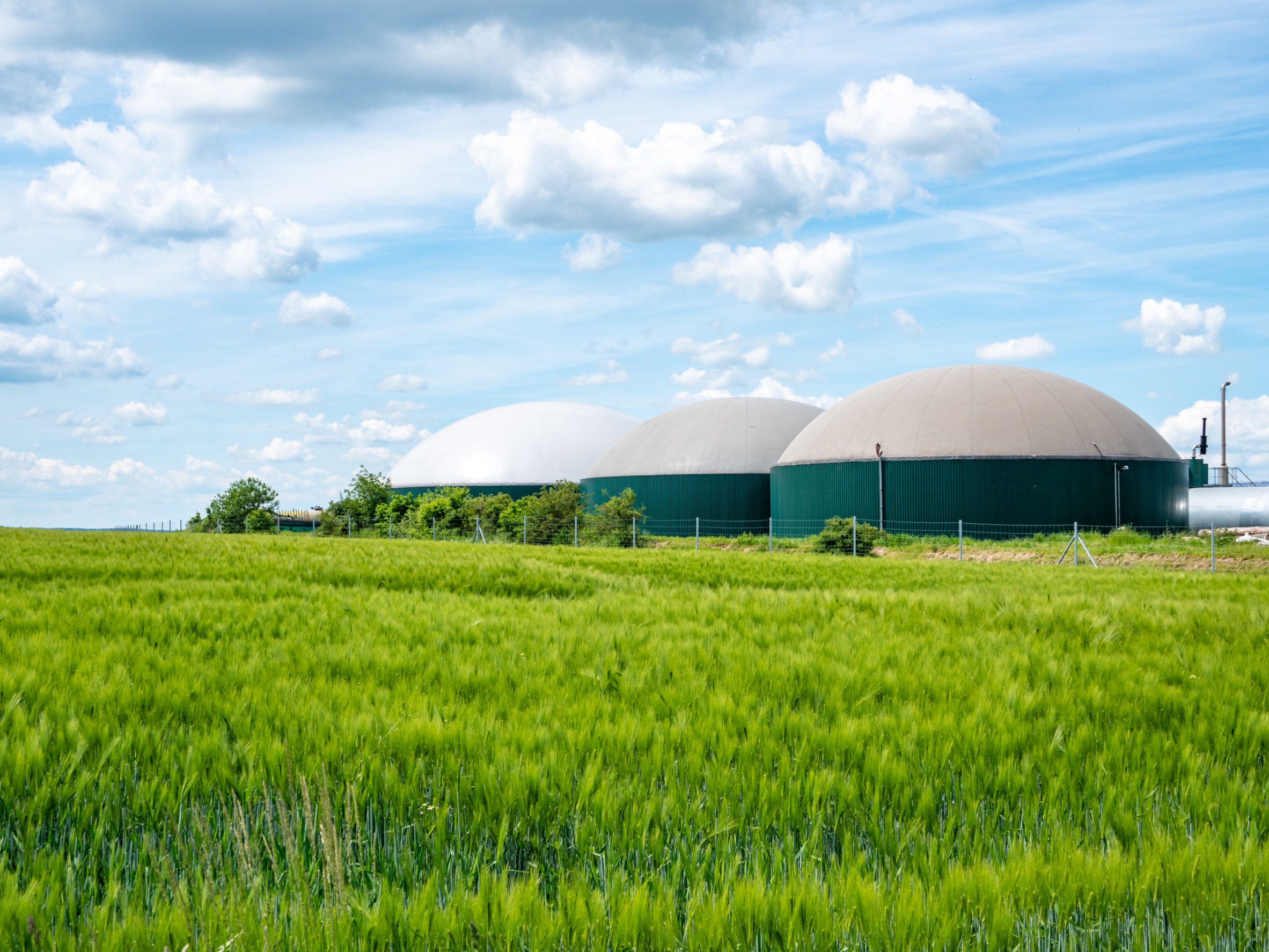 Planta de biogas